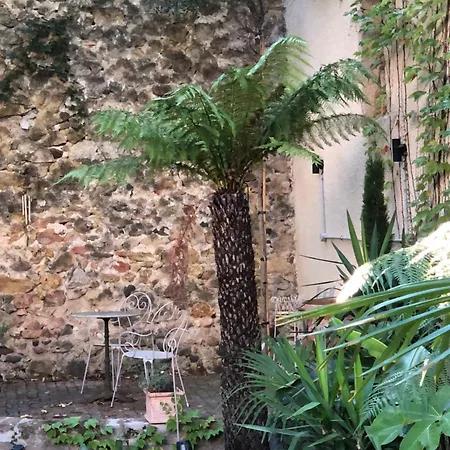 ゲストハウス Maison Mia Majorelle Roujan
