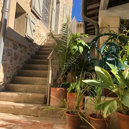 Maison Mia Majorelle ゲストハウス