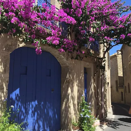 Maison Mia Majorelle Guest house Roujan
