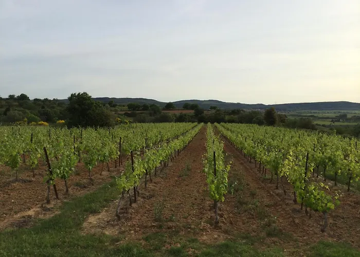 بيت ضيافة Maison Mia Majorelle Roujan